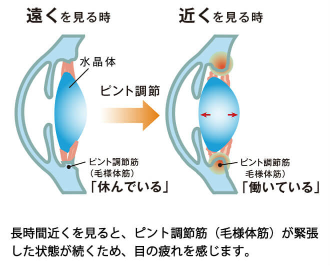 メガネでパソコン、目が疲れるのはなぜ？